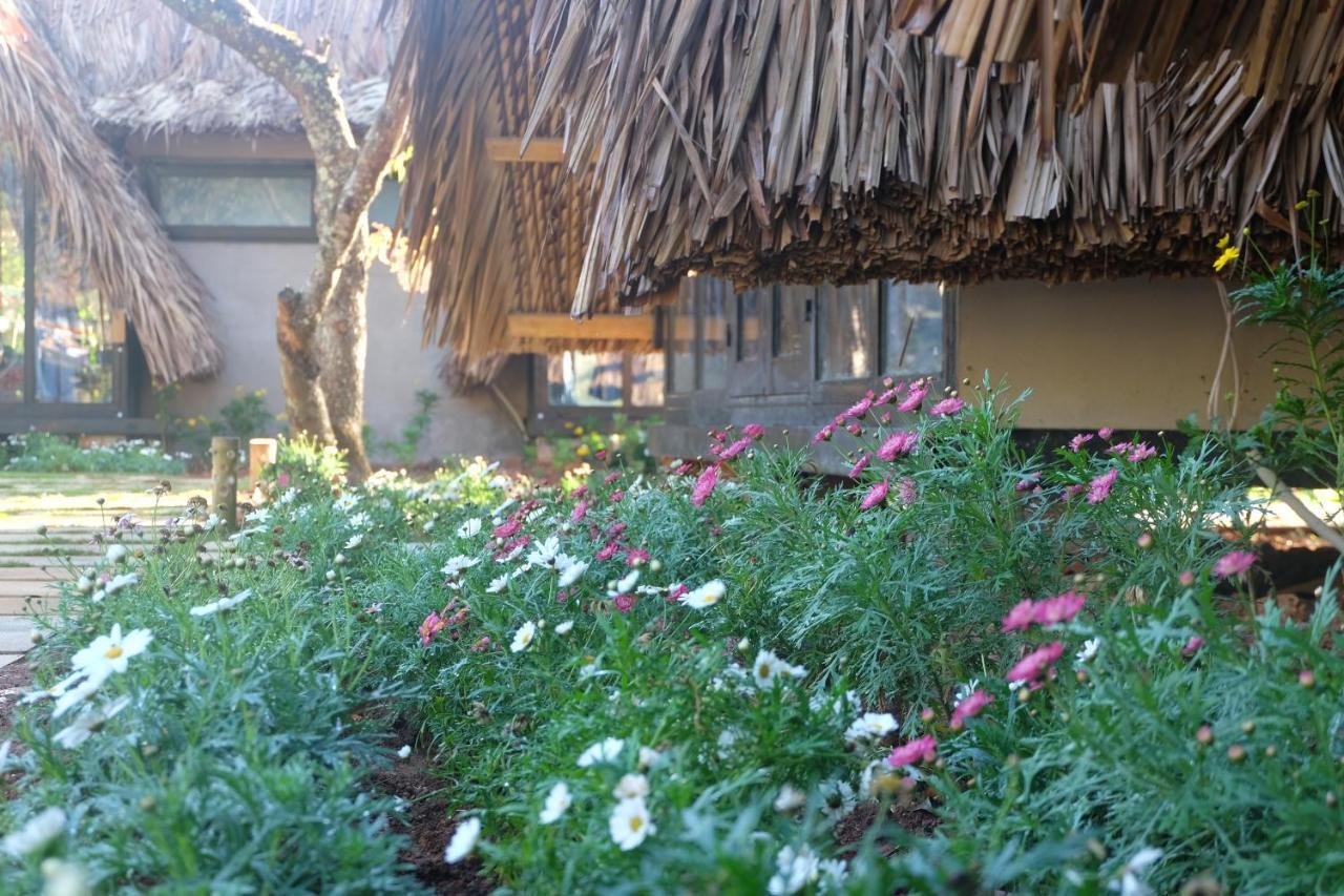 L'Amant Homestay Dalat Dış mekan fotoğraf