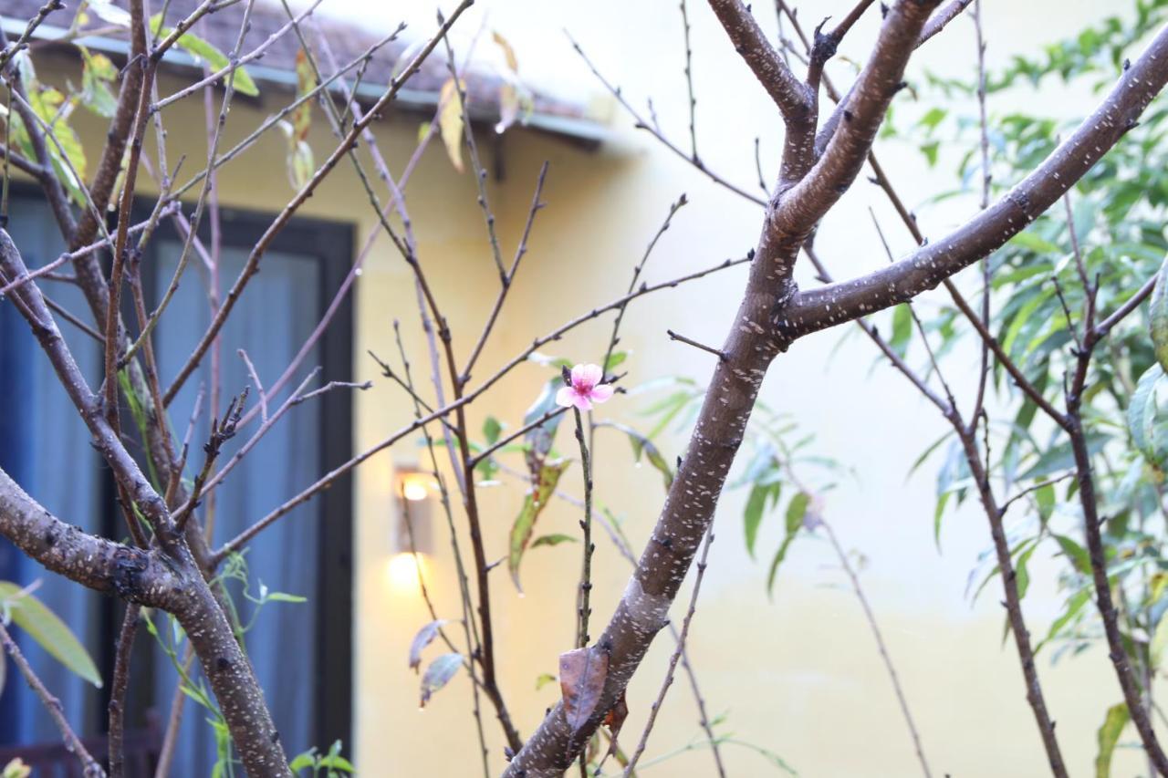 L'Amant Homestay Dalat Dış mekan fotoğraf