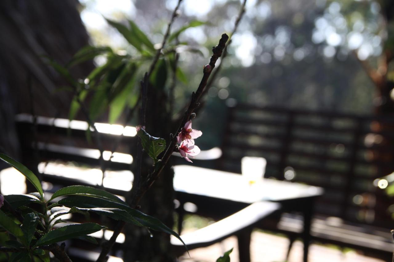 L'Amant Homestay Dalat Dış mekan fotoğraf
