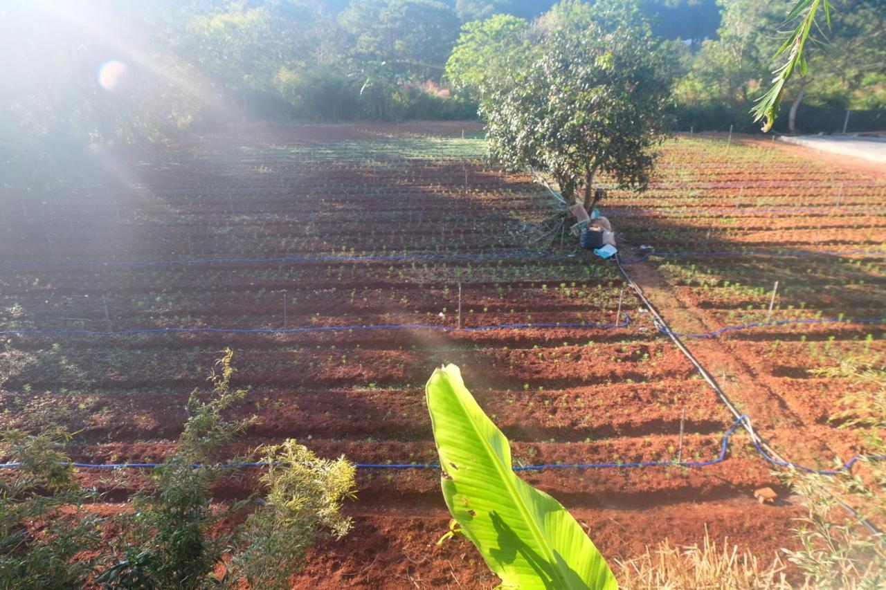 L'Amant Homestay Dalat Dış mekan fotoğraf