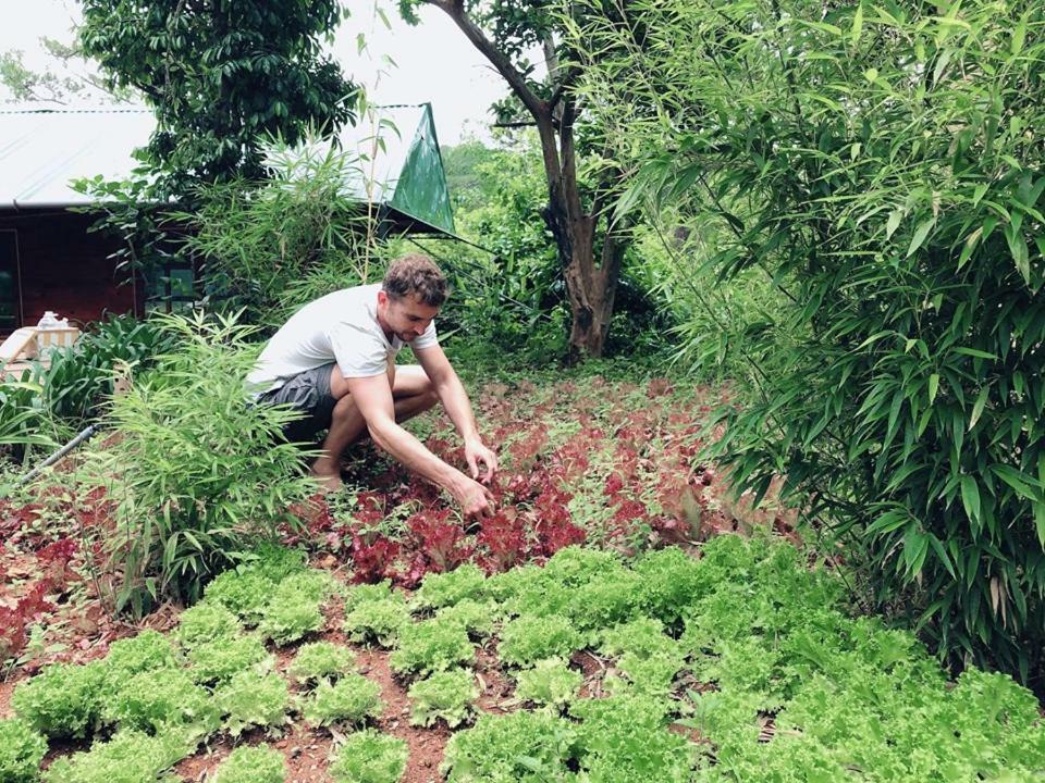 L'Amant Homestay Dalat Dış mekan fotoğraf